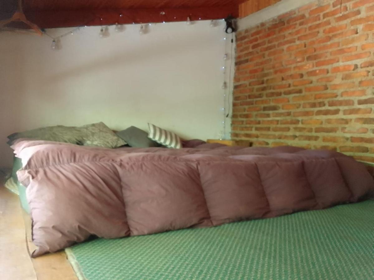 Casita En La Montana Apartamento San Martín de los Andes Exterior foto
